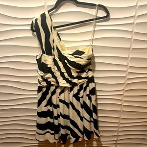Express Dress Size 12